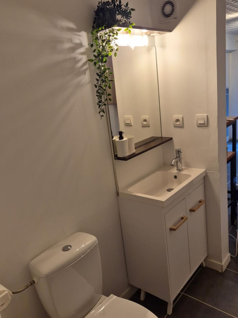 Studio - Museum of Fine Arts Apartment in Tours