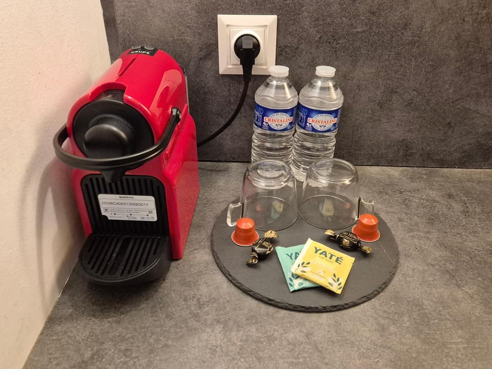 Studio - Museum of Fine Arts Apartment in Tours