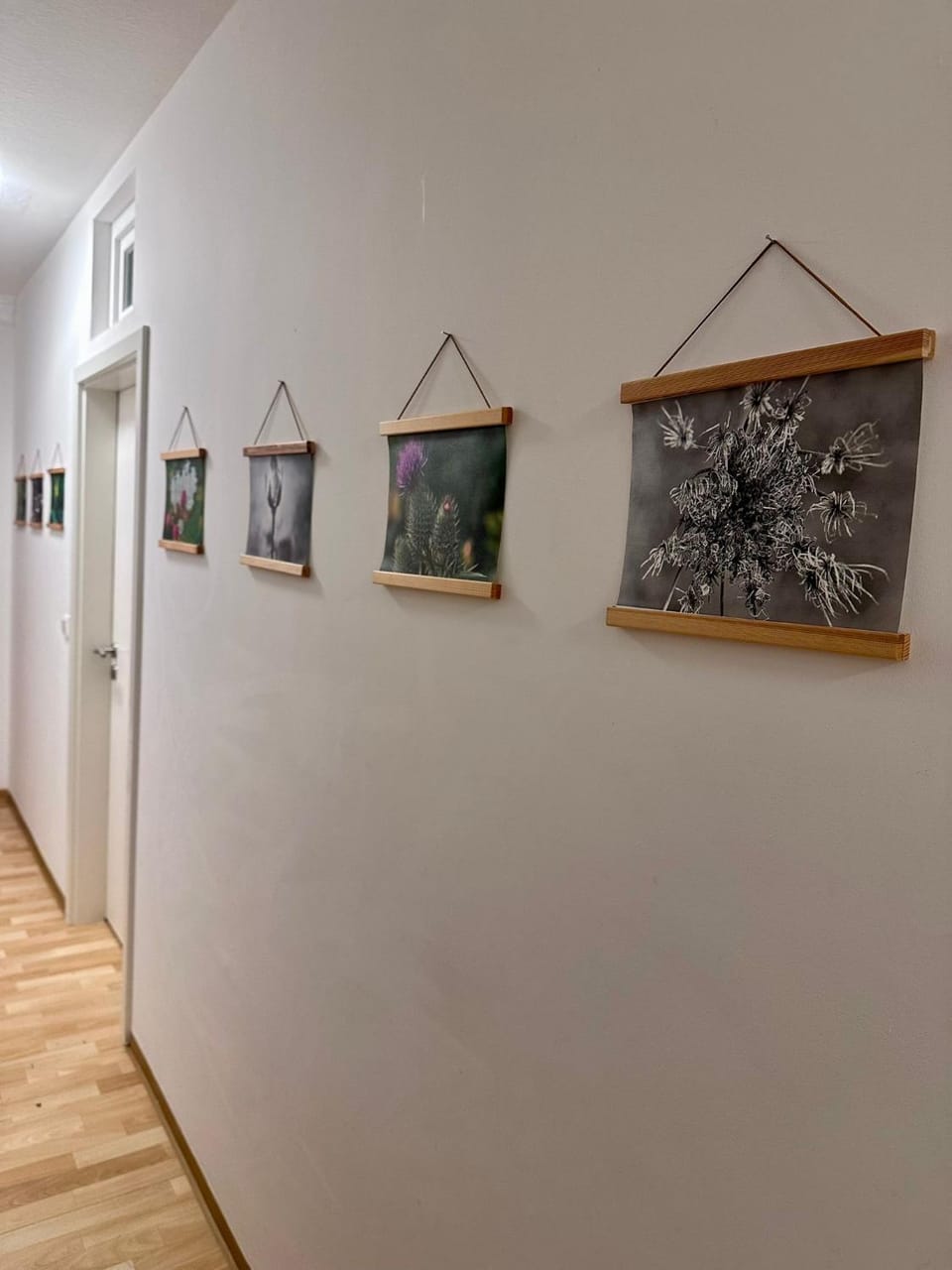 Nest76 Apartment in Karlsruhe