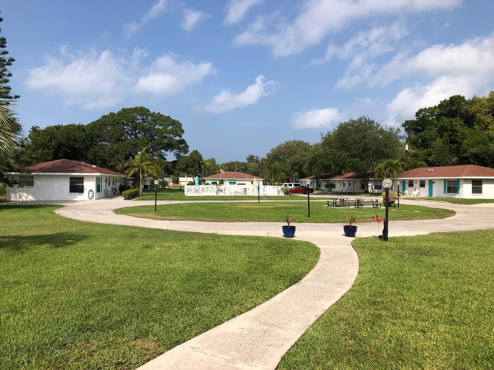 View (from property/room), Area and facilities