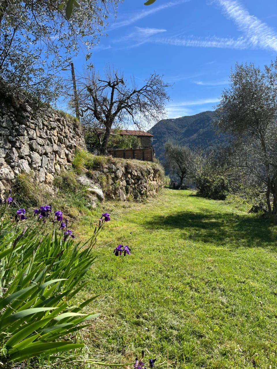 Maison Lantosque 4 personnes face montagne House in Provence-Alpes-Côte d'Azur