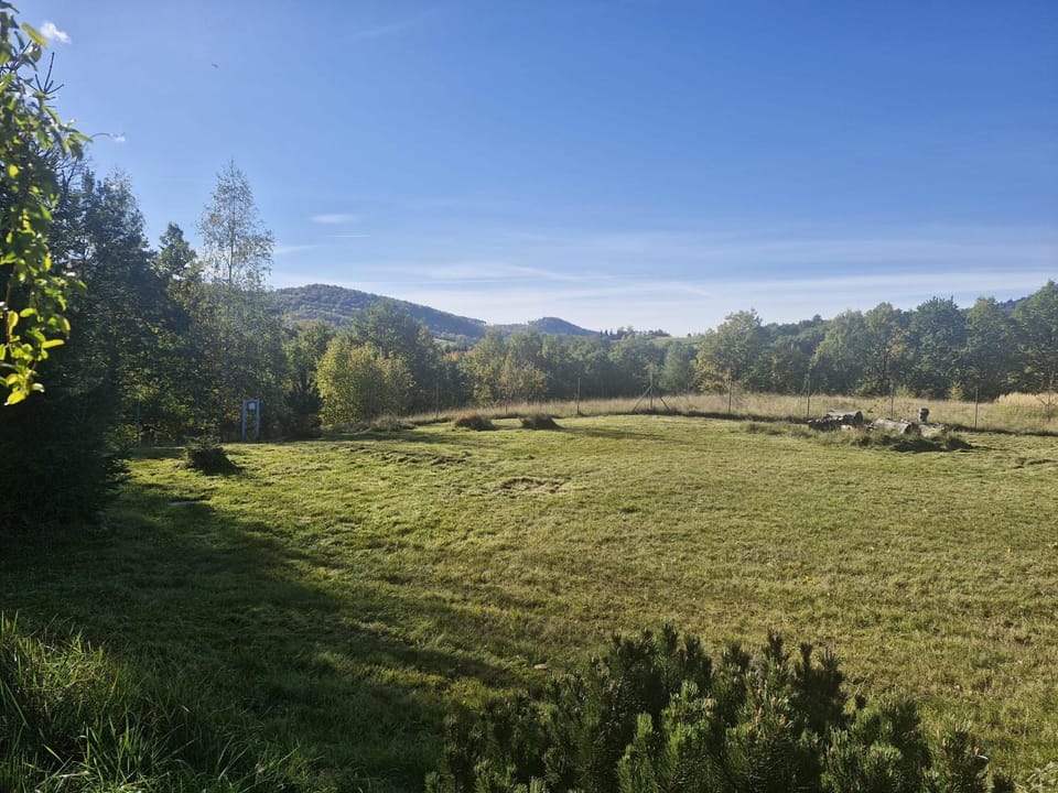 Natural landscape, Garden, Mountain view