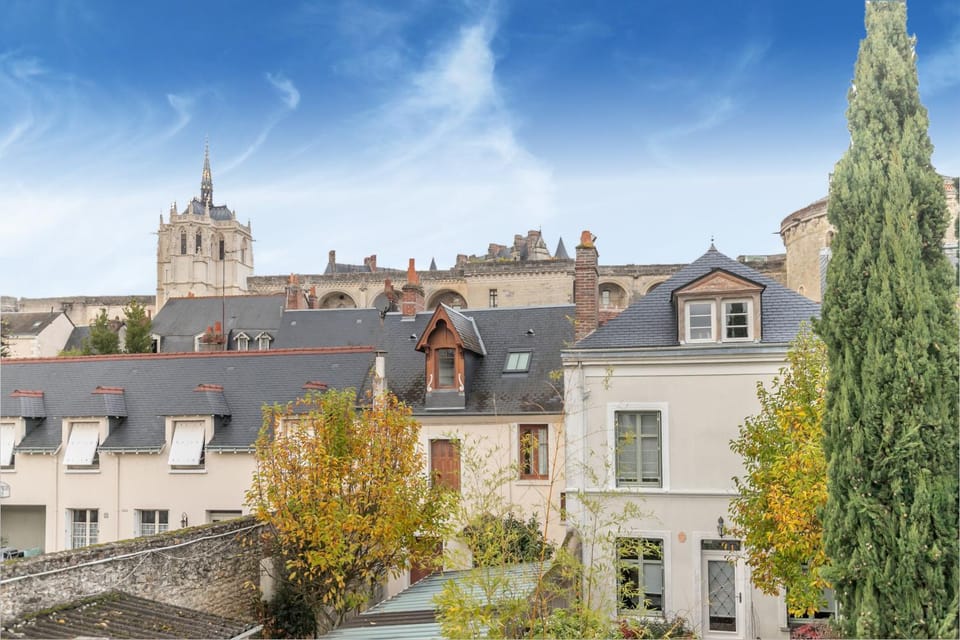 La Maraisienne Amboise Center Parking Garden House in Amboise