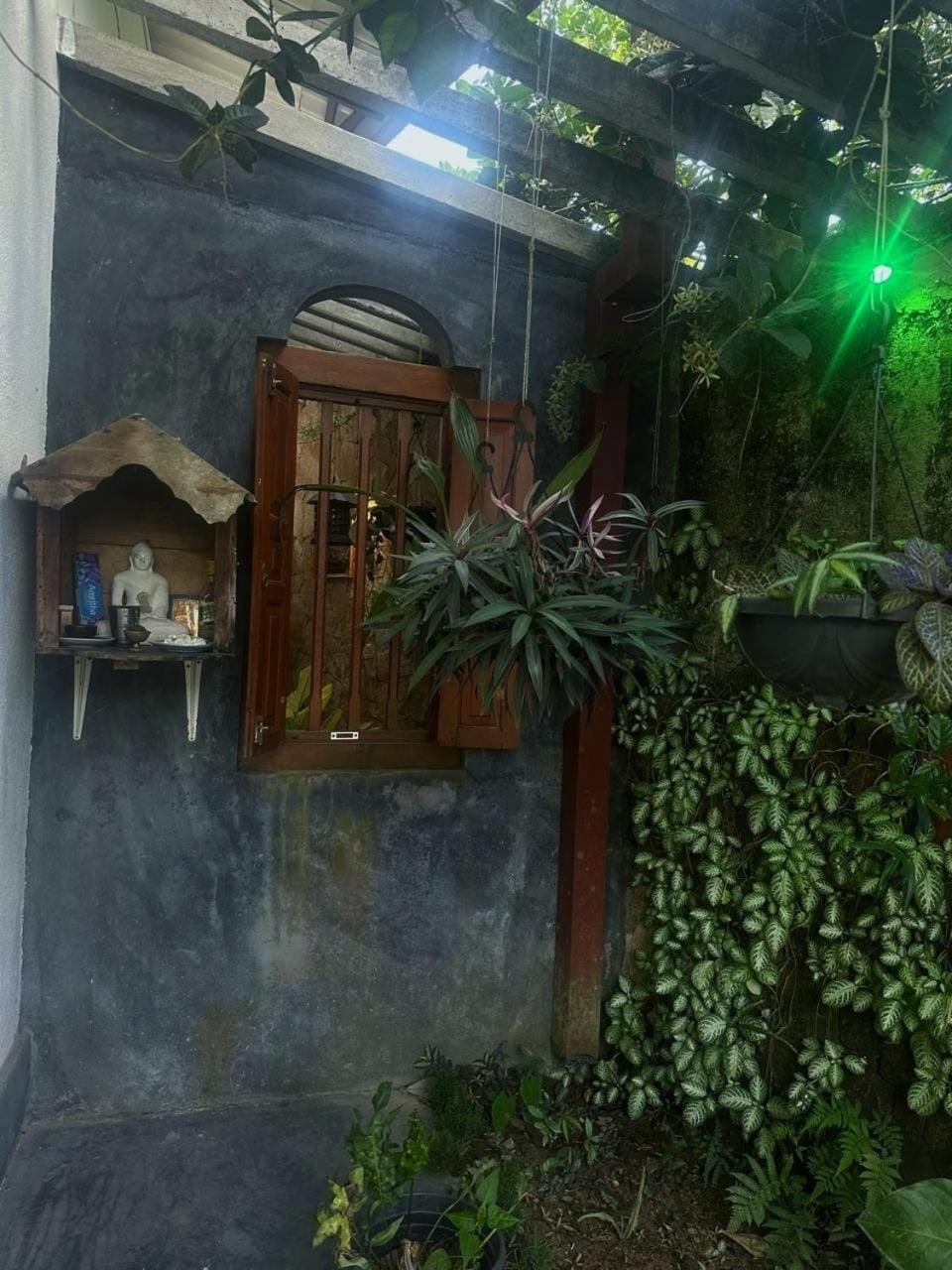 Natural landscape, Garden