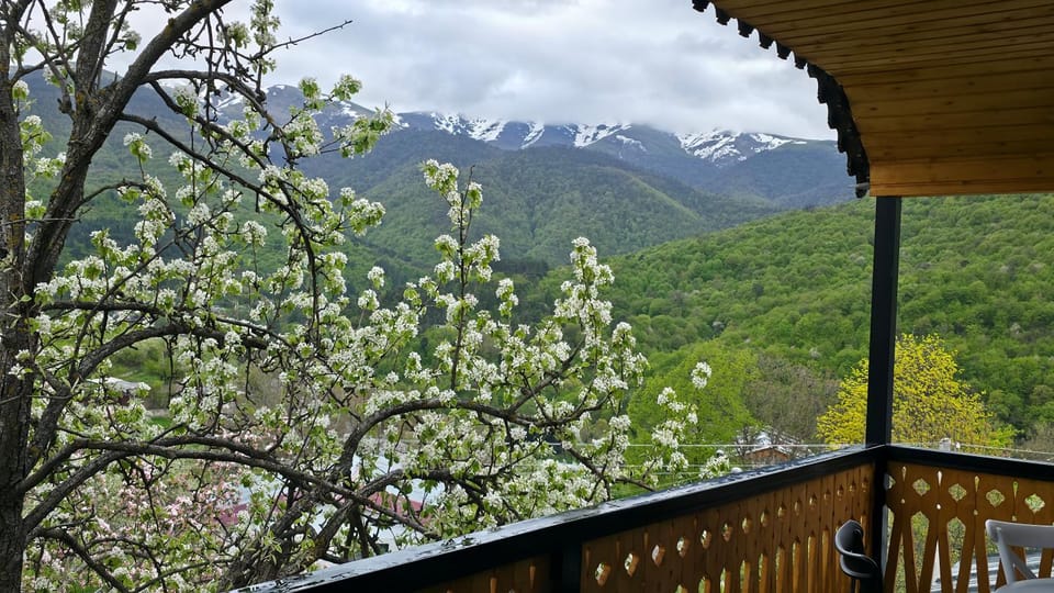 Home with great view, entire home , дом целиком,designed by Khi Apartment in Armenia