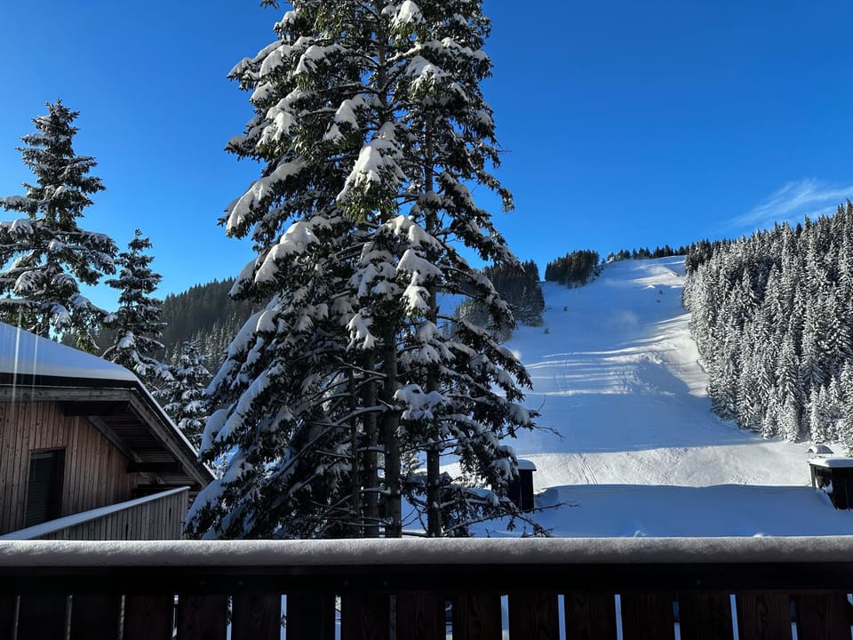 Day, Natural landscape, Winter