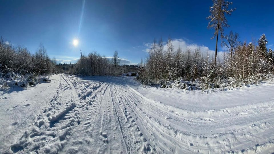 Natural landscape, Winter