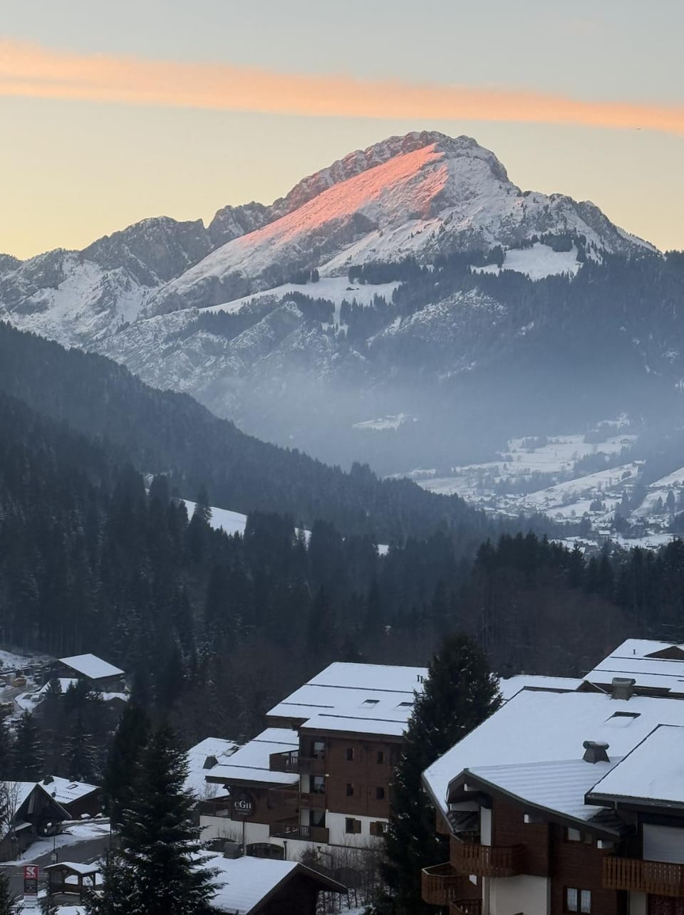 La petite Chaumière des Neiges Apartment in Châtel