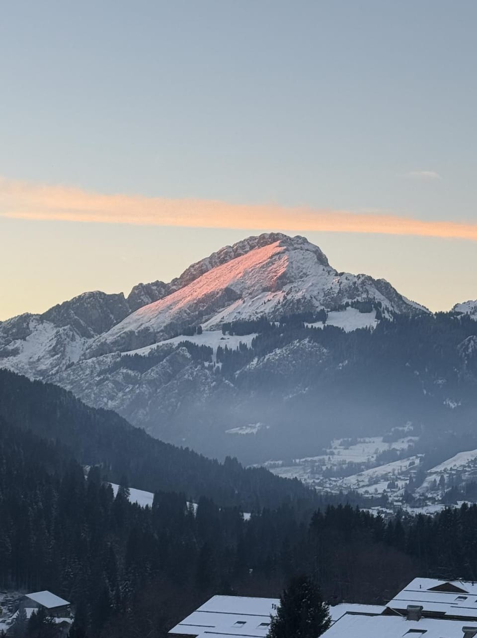 La petite Chaumière des Neiges Apartment in Châtel
