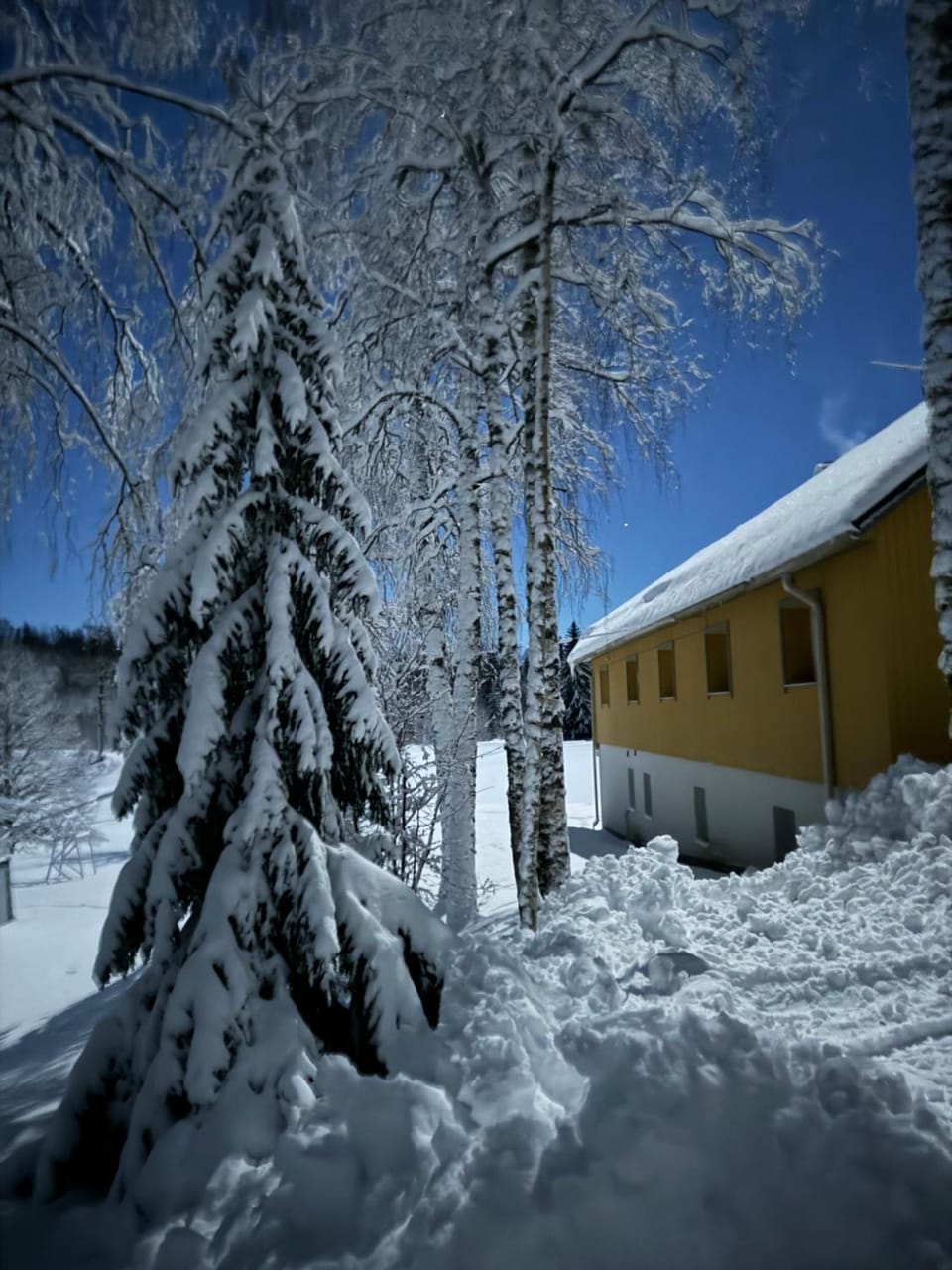 Property building, Winter