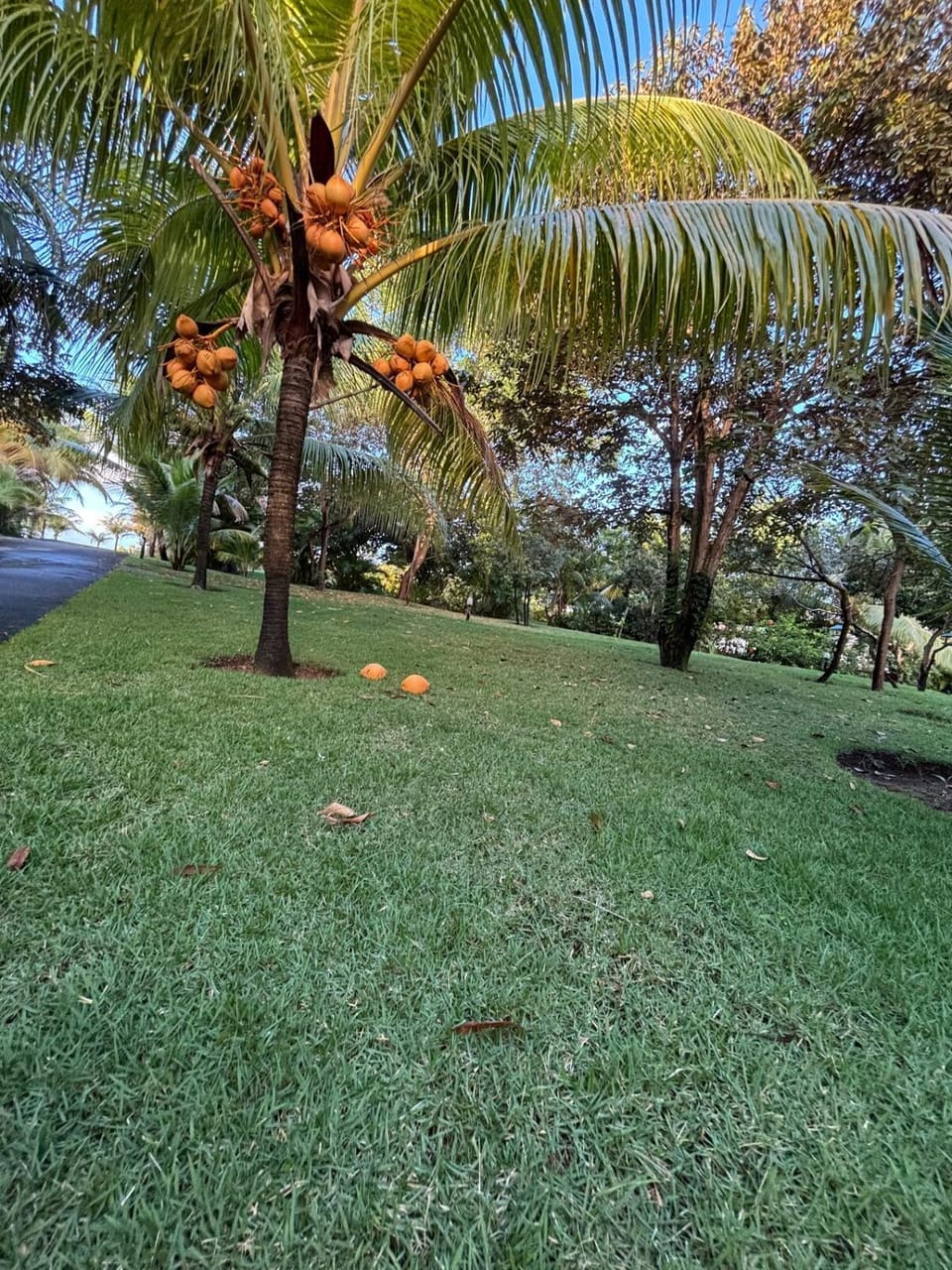 Casa Nature - Costa de Sauípe Bahia House in State of Bahia
