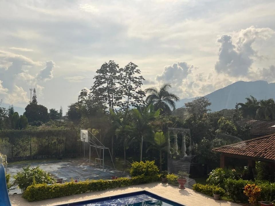 Garden view