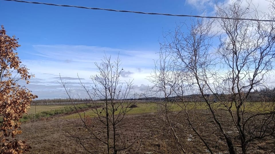 Natural landscape