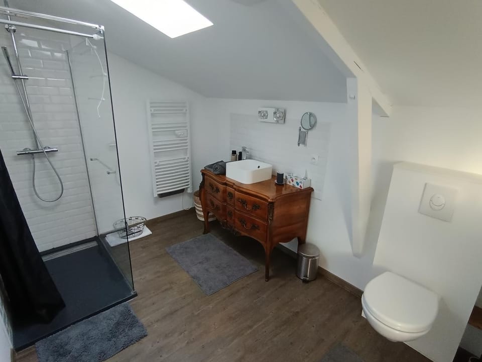 Shower, Toilet, Bathroom, towels