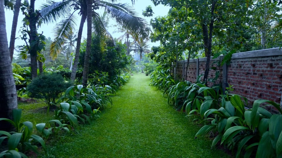 Day, Garden