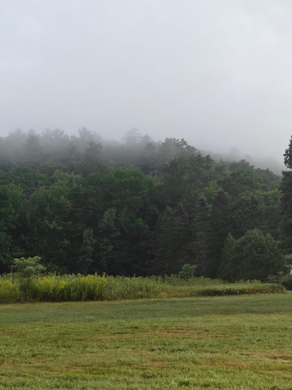 Natural landscape, View (from property/room)