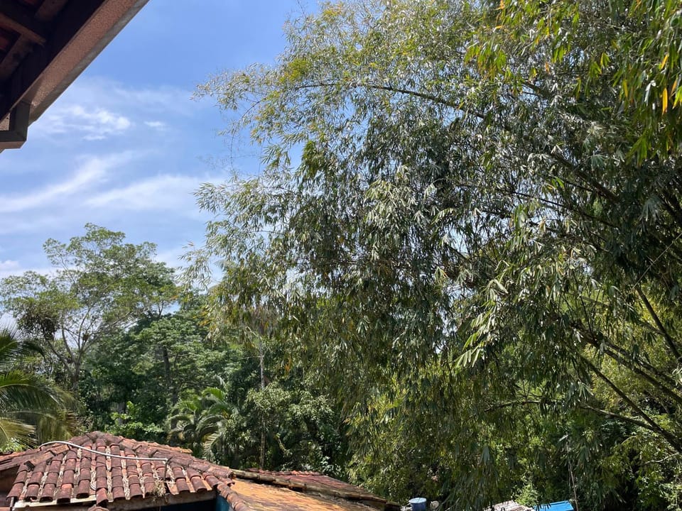 Casa Mandú House in São Sebastião