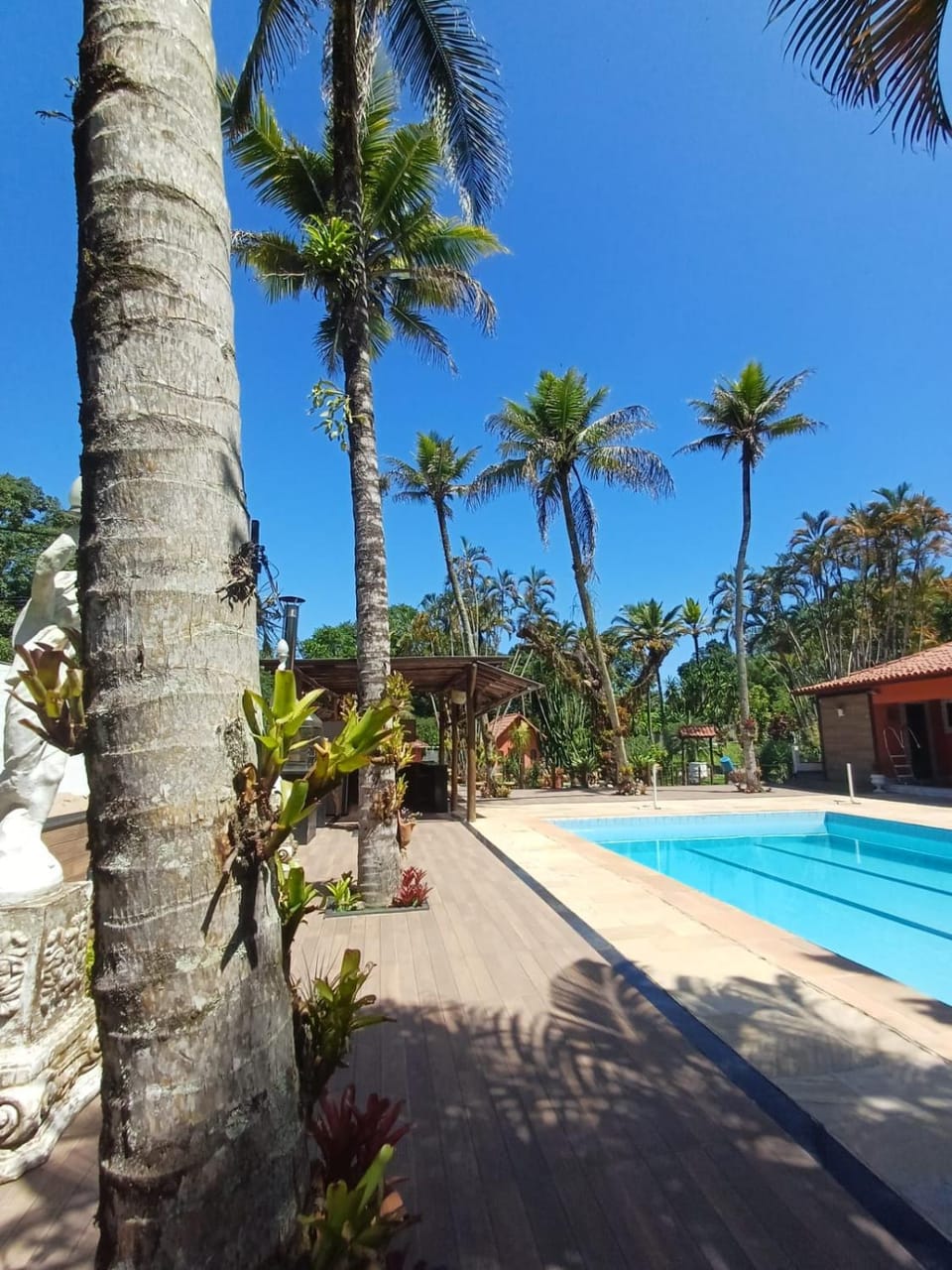 Garden view, Swimming pool, Swimming pool