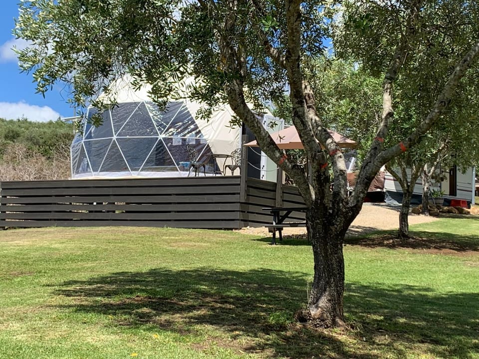 Dome on Leccino Luxury tent in Northland