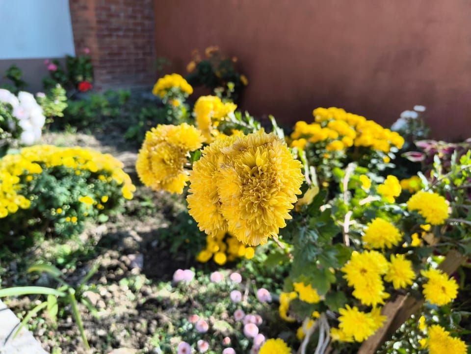 Garden, Garden