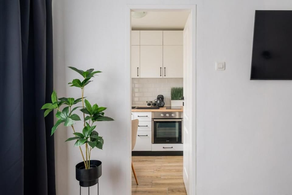 TV and multimedia, Kitchen or kitchenette, oven, pet friendly, stove