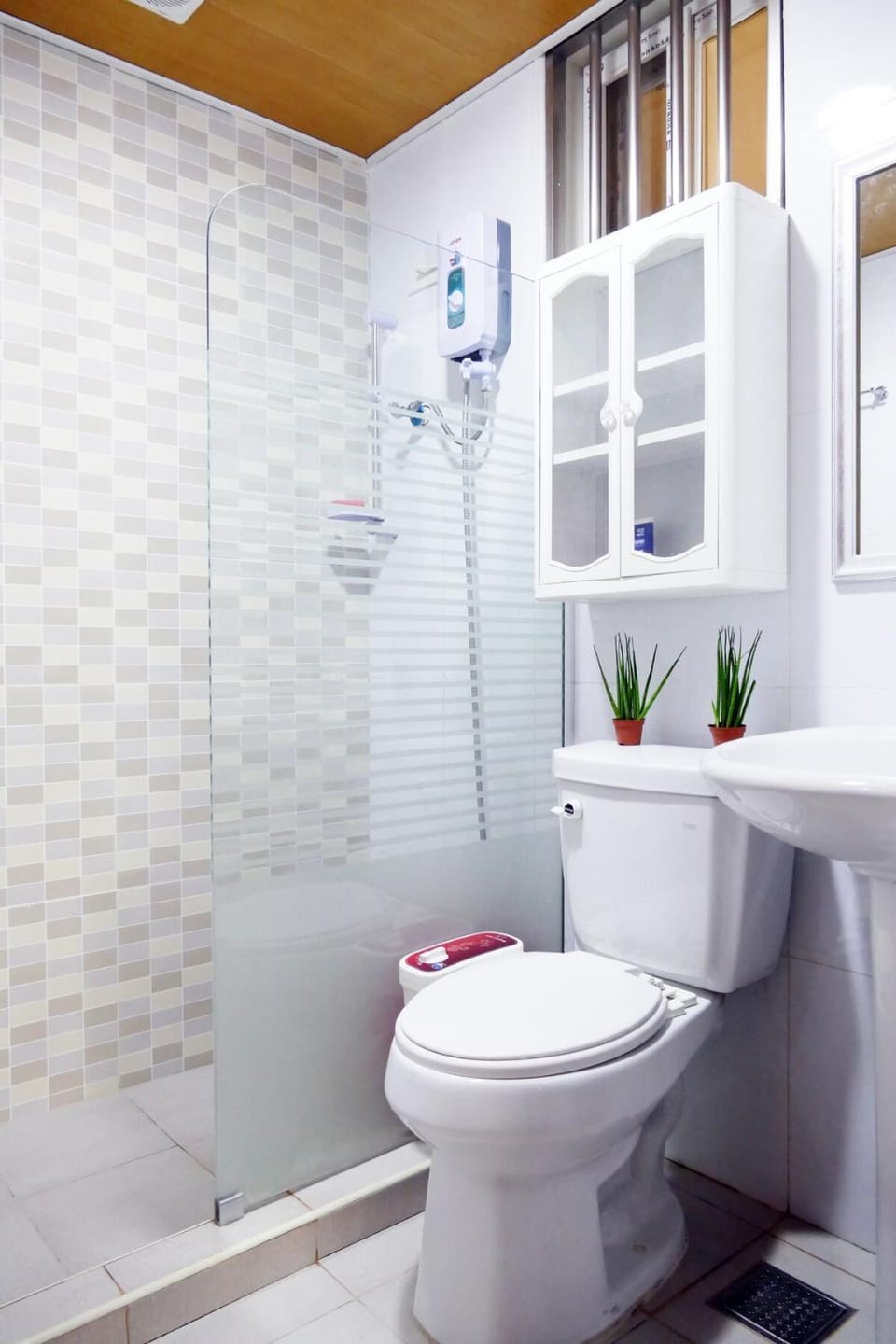 Shower, Toilet, Bathroom, bidet