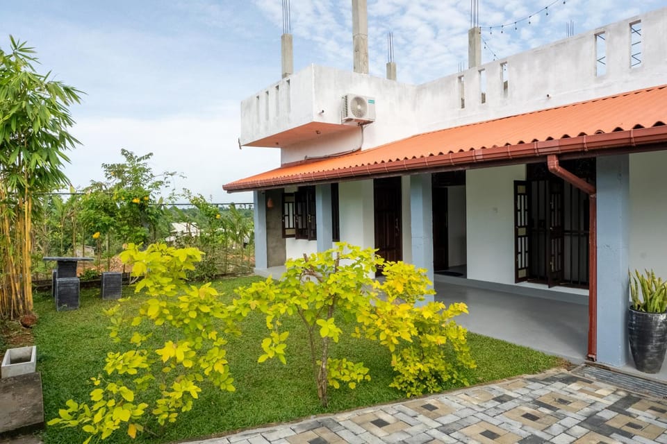 Property building, Day, Garden