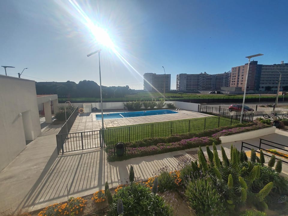 Garden, Swimming pool, Swimming pool