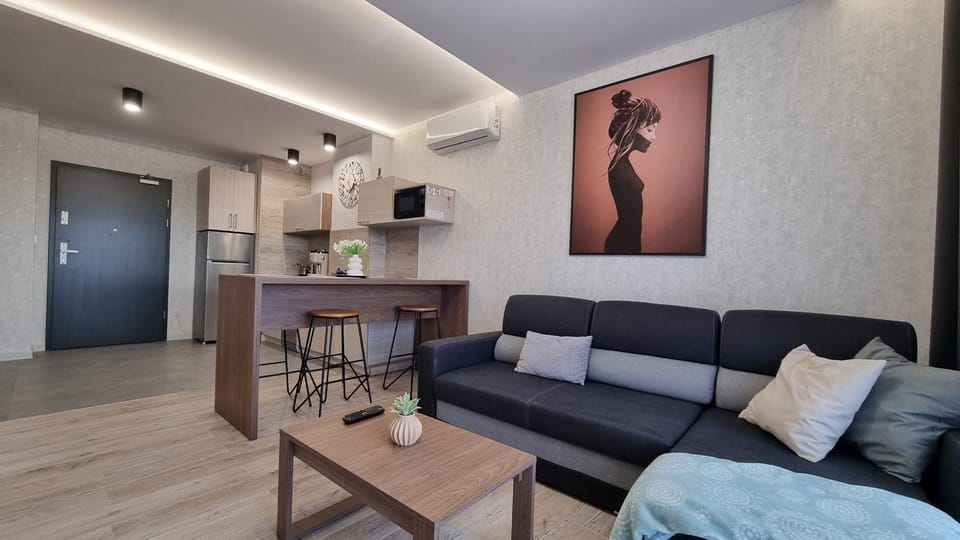 Living room, Seating area, Dining area, air conditioner