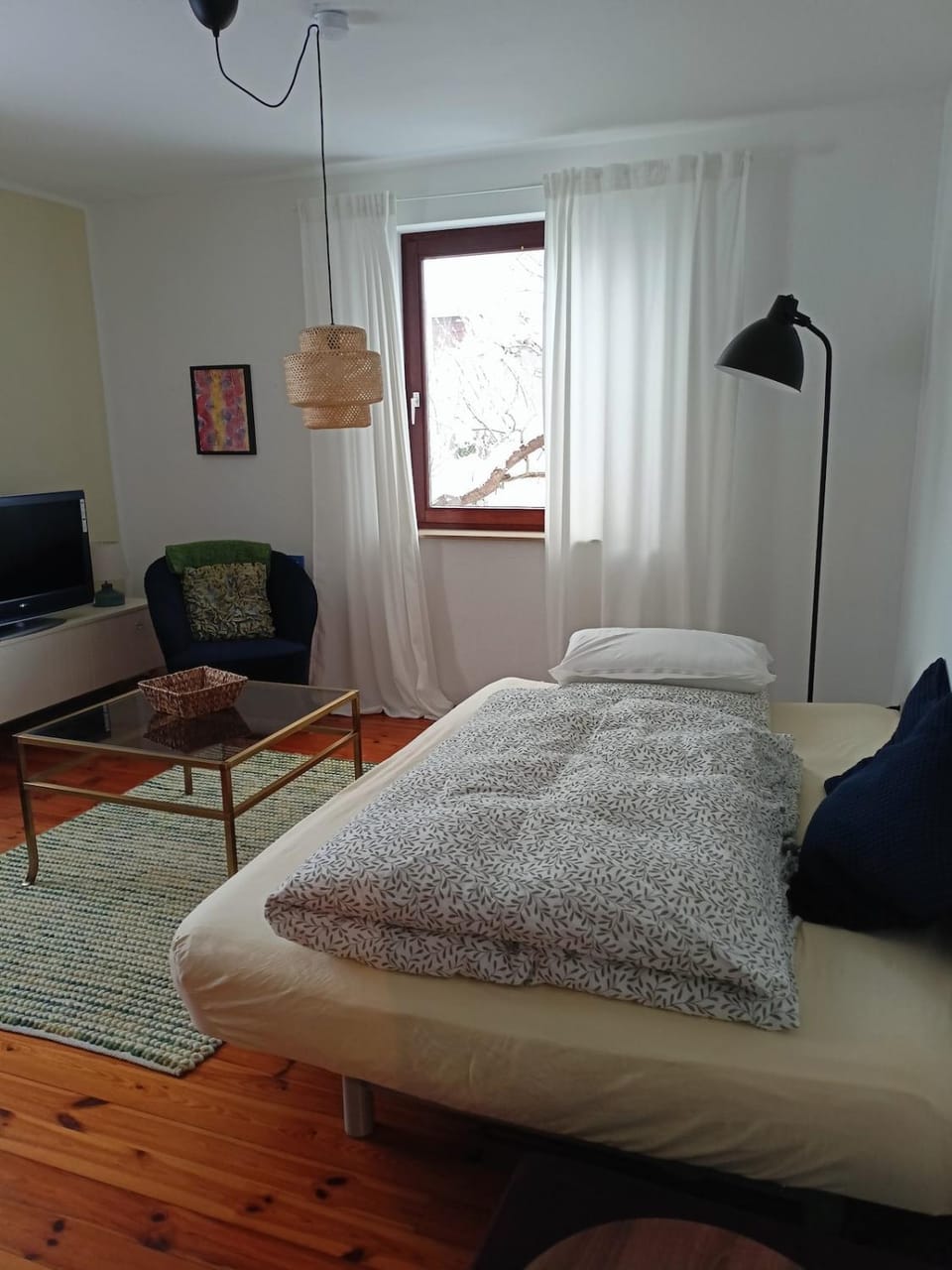Bed, Living room, Photo of the whole room