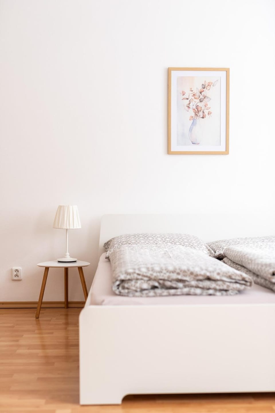 2 apartments in a family house near the center Apartment in Czechia