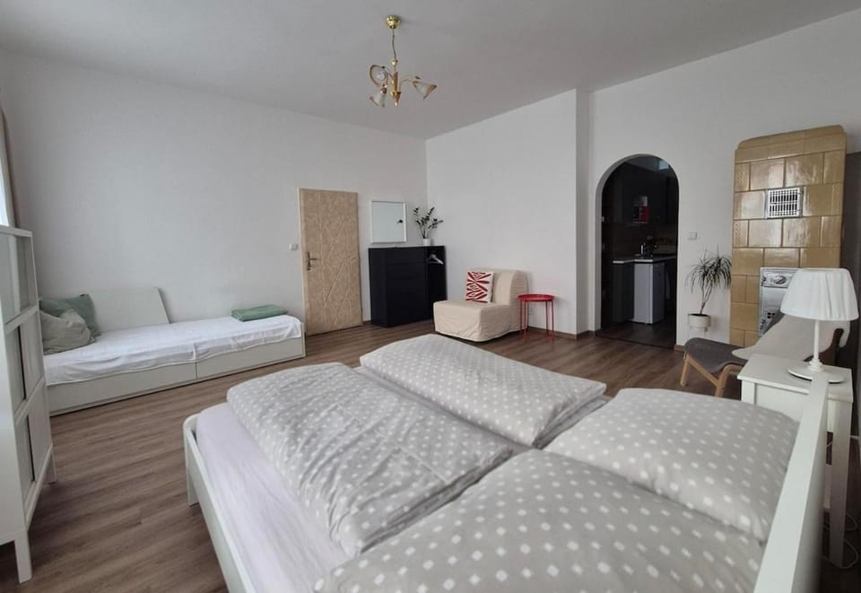 2 apartments in a family house near the center Apartment in Czechia