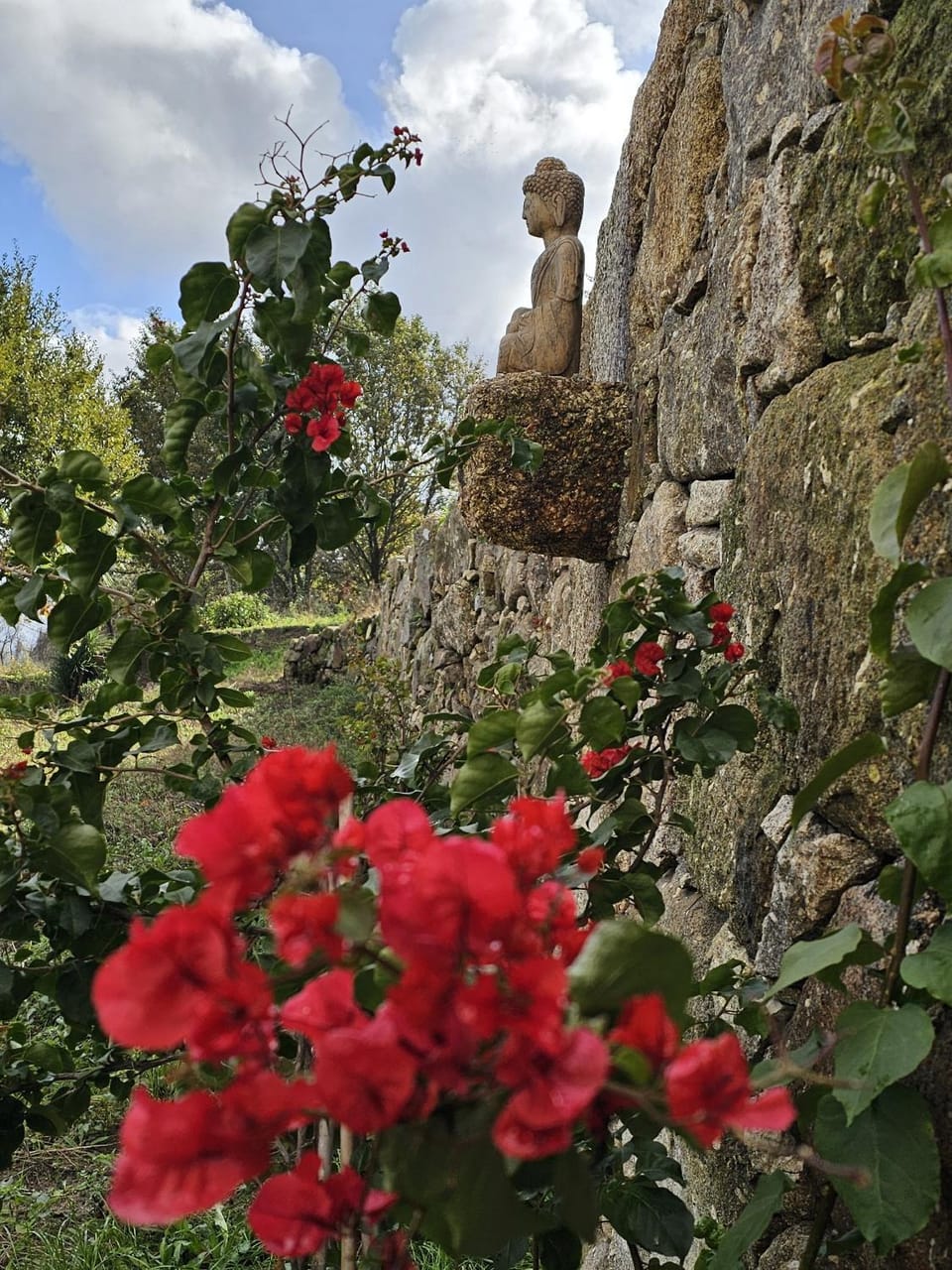 Garden, Garden view