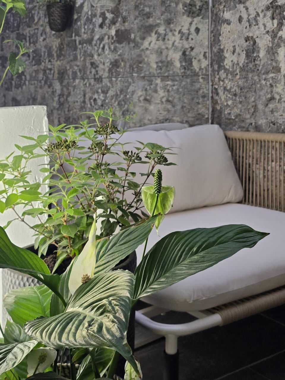 memore Apartment hotel in Hauts-de-France