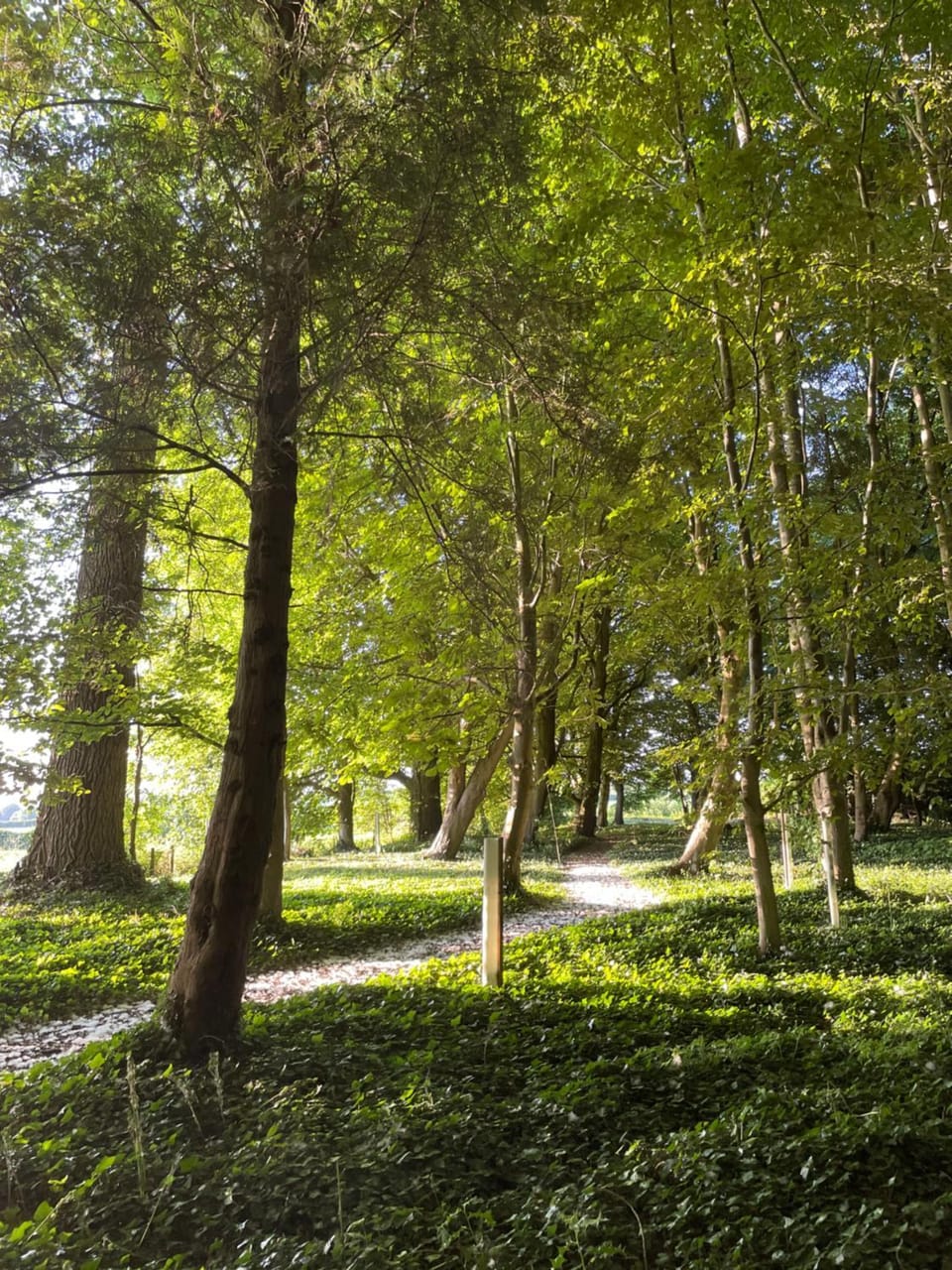 Natural landscape, Garden