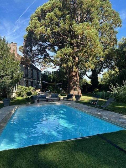 Swimming pool, Swimming pool