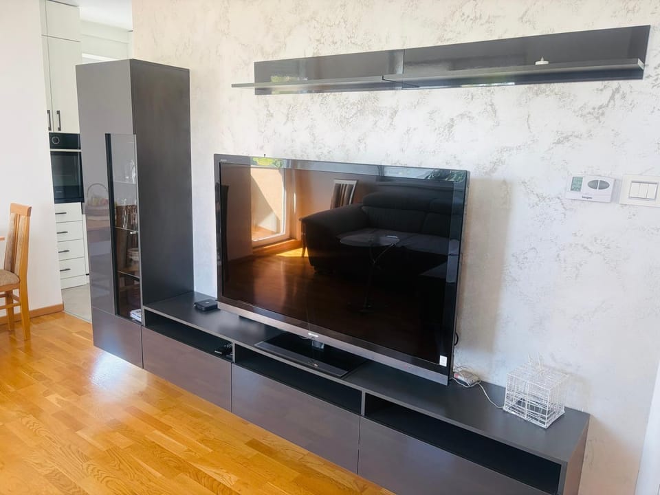 TV and multimedia