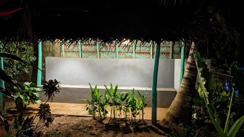 Night, Garden