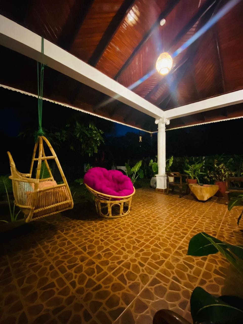 Night, Garden, Garden view