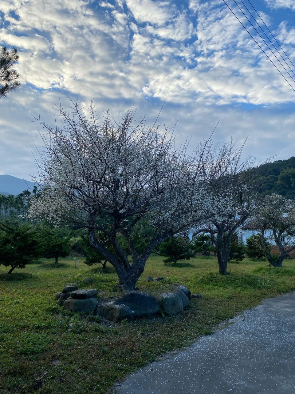 Huaigu B&B Vacation rental in Fujian