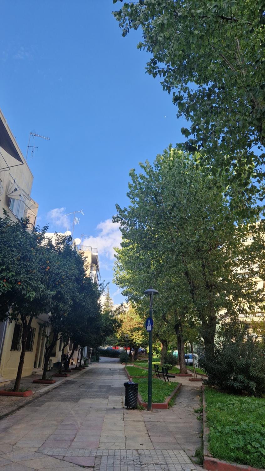 Quiet street view