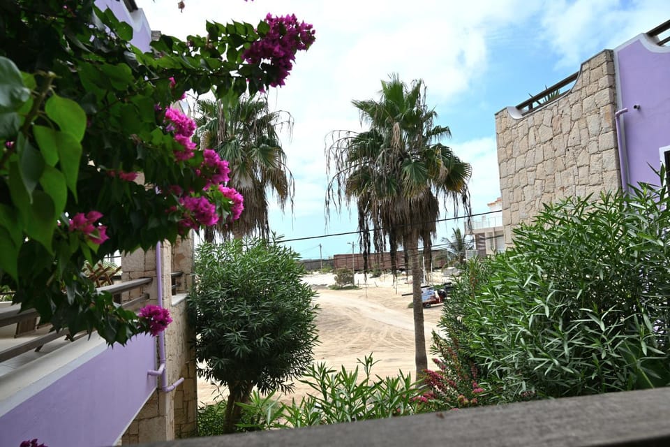 View (from property/room)