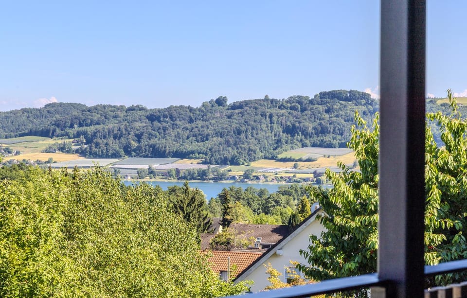 Lake view