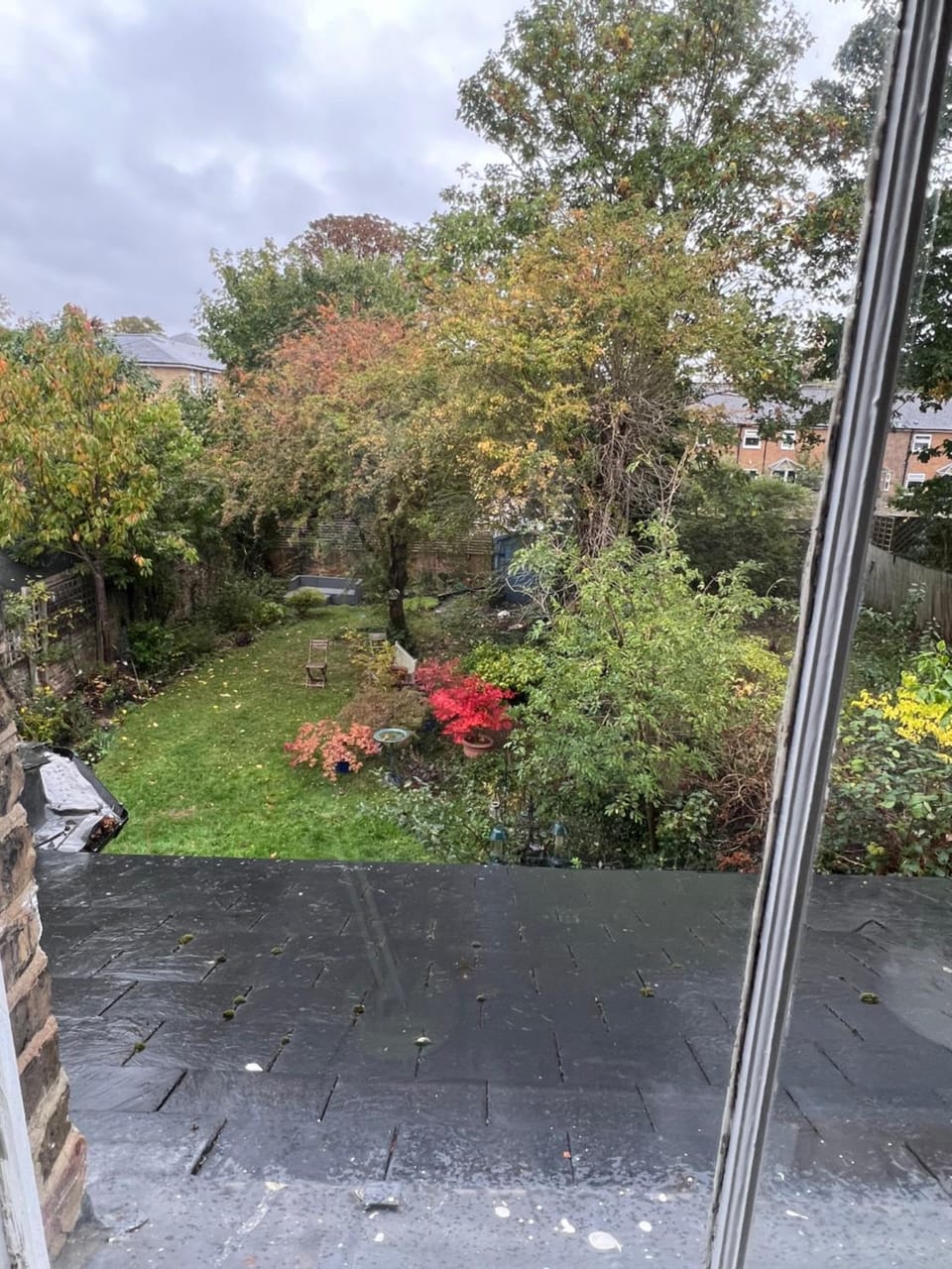 Garden view