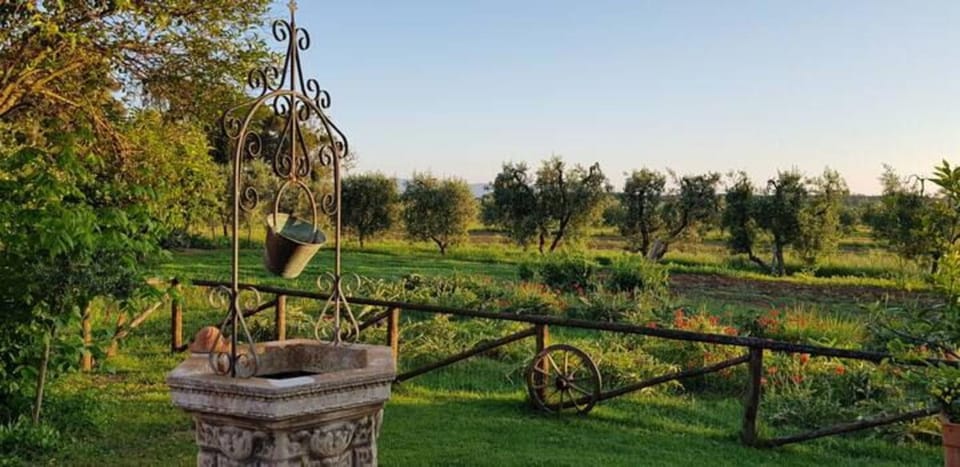 Winter, Summer, View (from property/room), Autumn