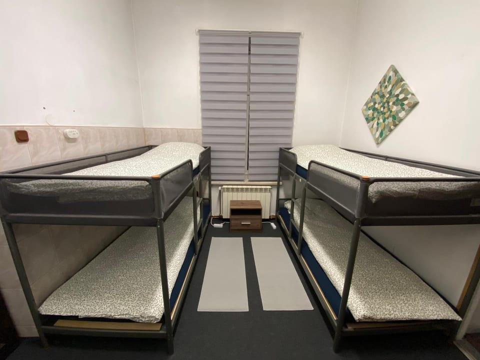 Bed, Photo of the whole room, Bedroom, bunk bed