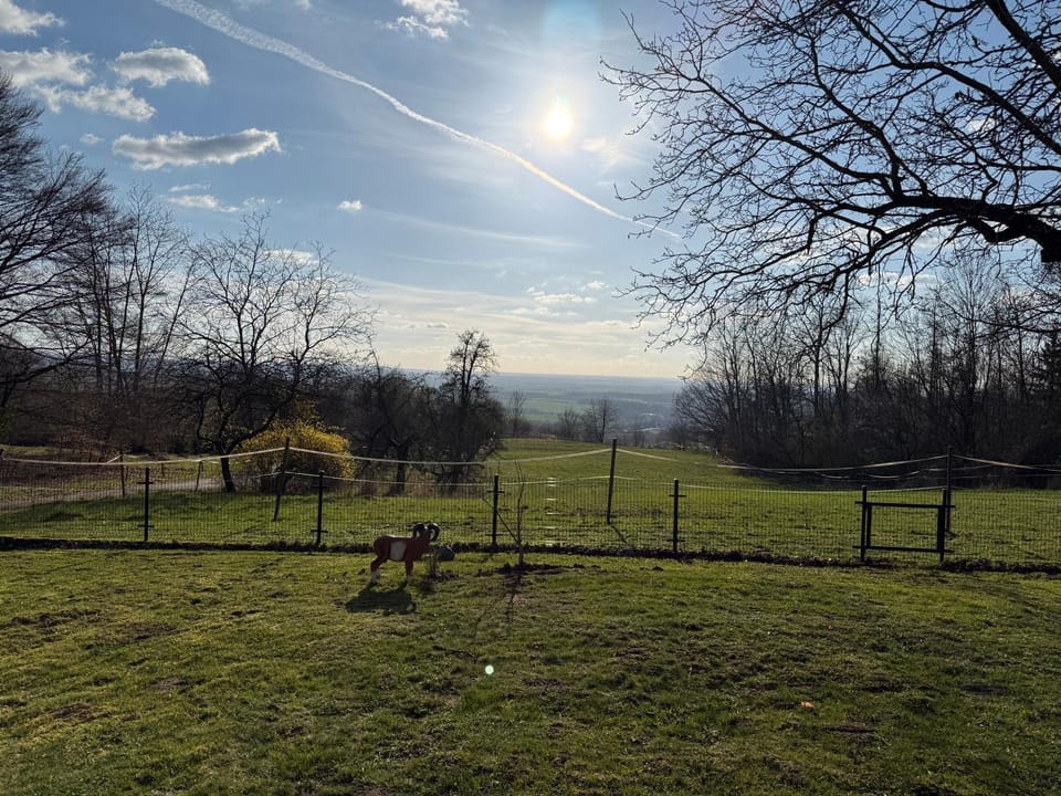 Chalupa u lesa v Železných horách Villa in Czechia