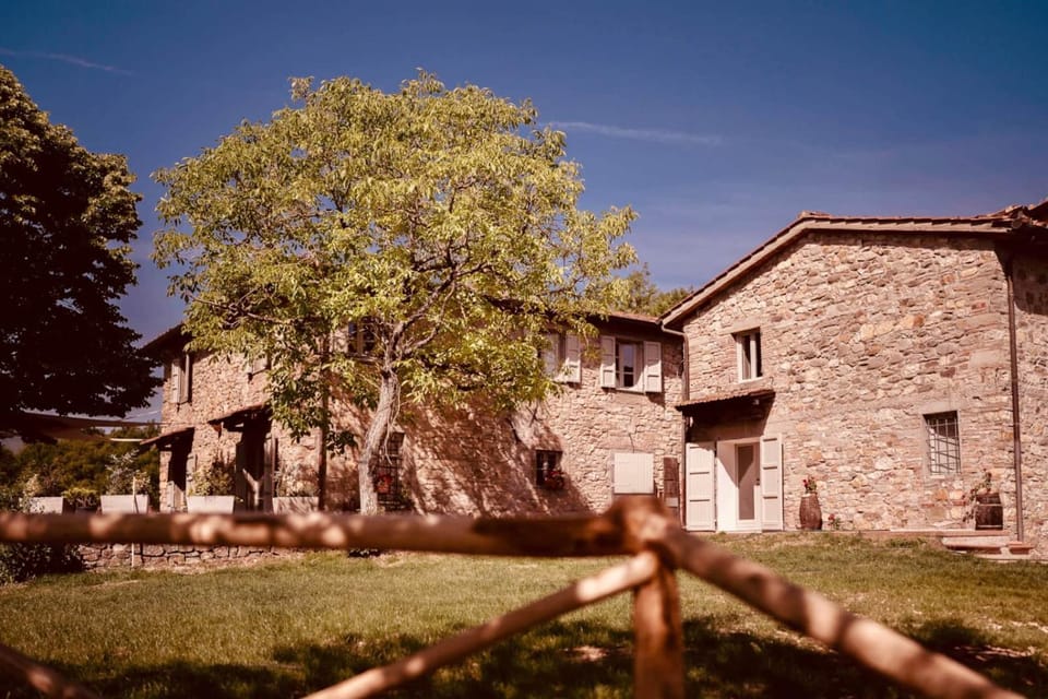 Day, Garden, Garden view