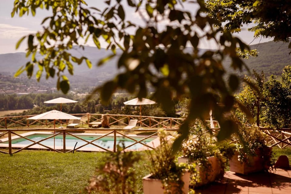 Natural landscape, Garden, Garden view, Pool view, Swimming pool, sunbed