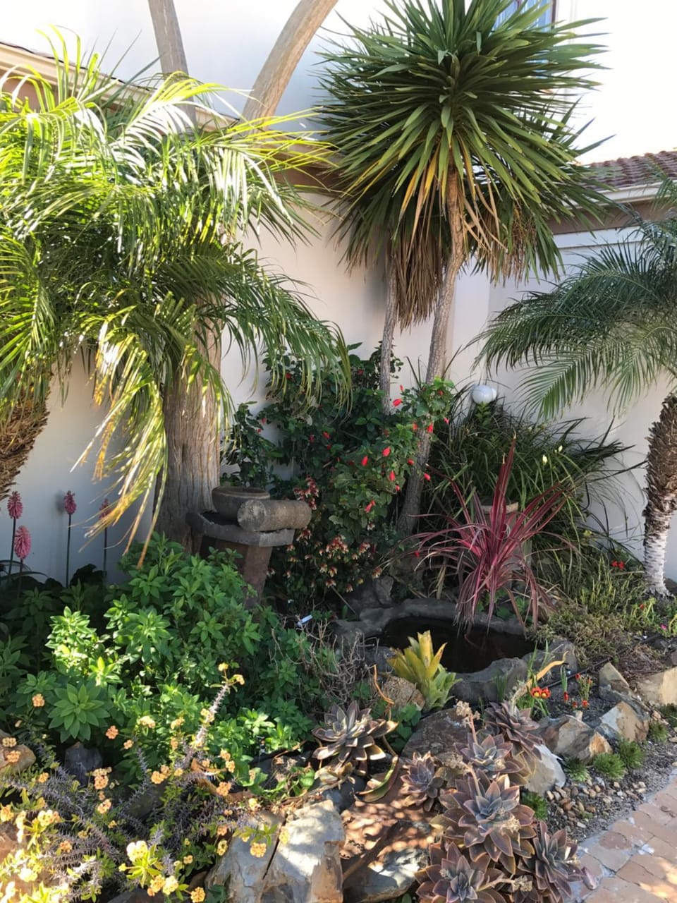 Facade/entrance, Garden, Garden view